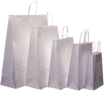 Five sizes of white kraft paper bags with twisted paper handles